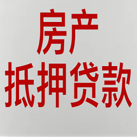 河东贷款公司新渝启服推荐选择